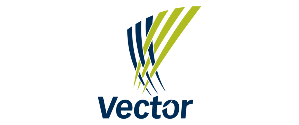 Vector Energy